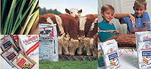 Tongaat-Hulett Sugar graphic