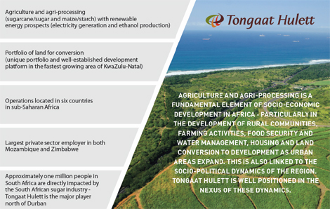 tongaat hulett annual report 2015 audit fees in balance sheet